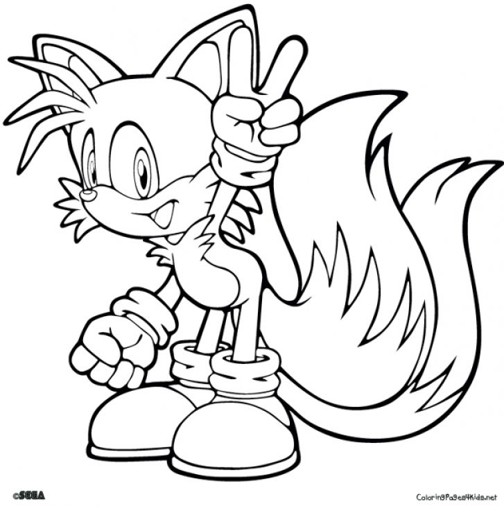 727x730 The Happy Tails In Sonic Coloring Page Japanese Anime Coloring