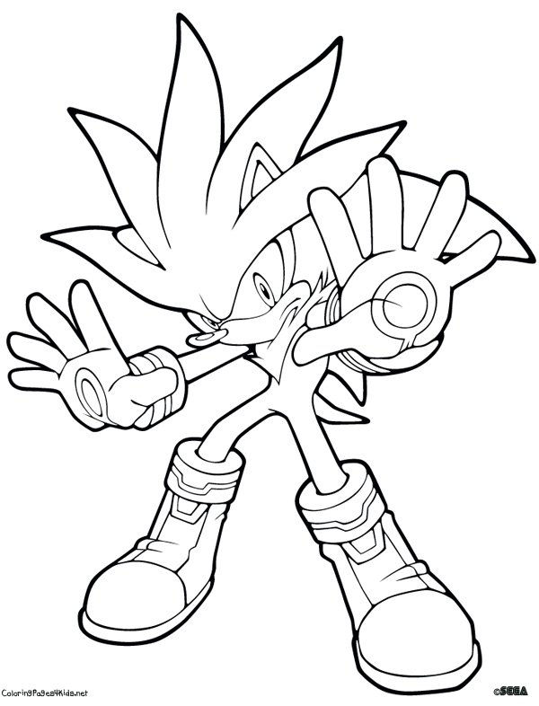 600x786 Silver Hedgehog Coloring Pages