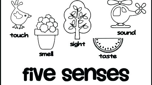 500x280 R Sound Coloring Sheets R Sound Coloring Sheets Preschool