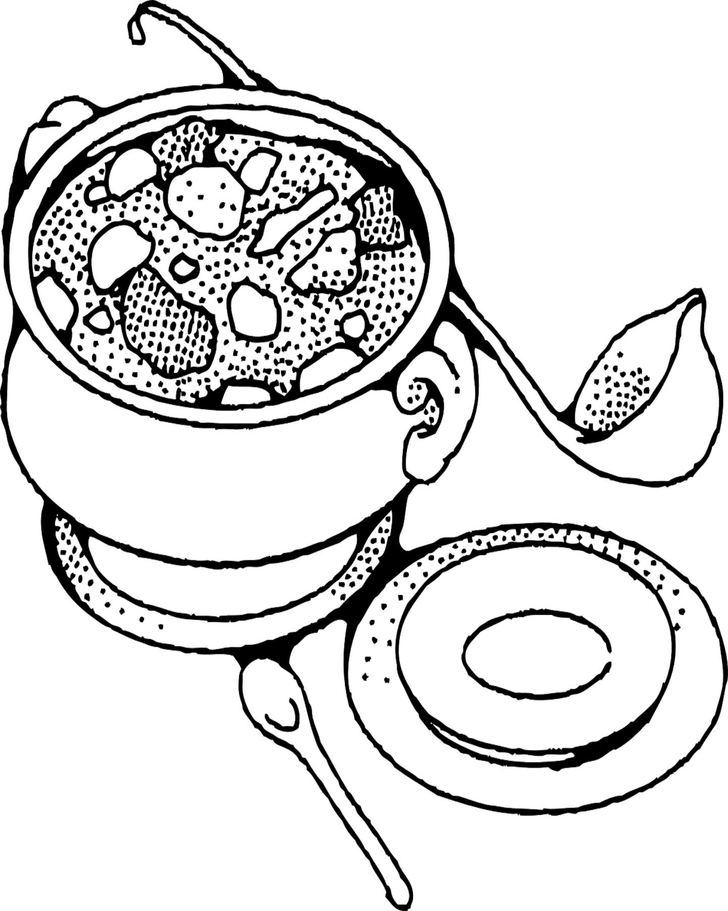 1440x1800 Free Printable Soup Coloring Page Soups Free