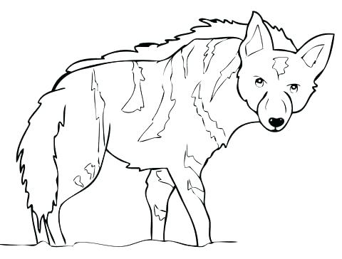 480x364 Africa Map Coloring Pages Coloring Page Coloring Page Map South