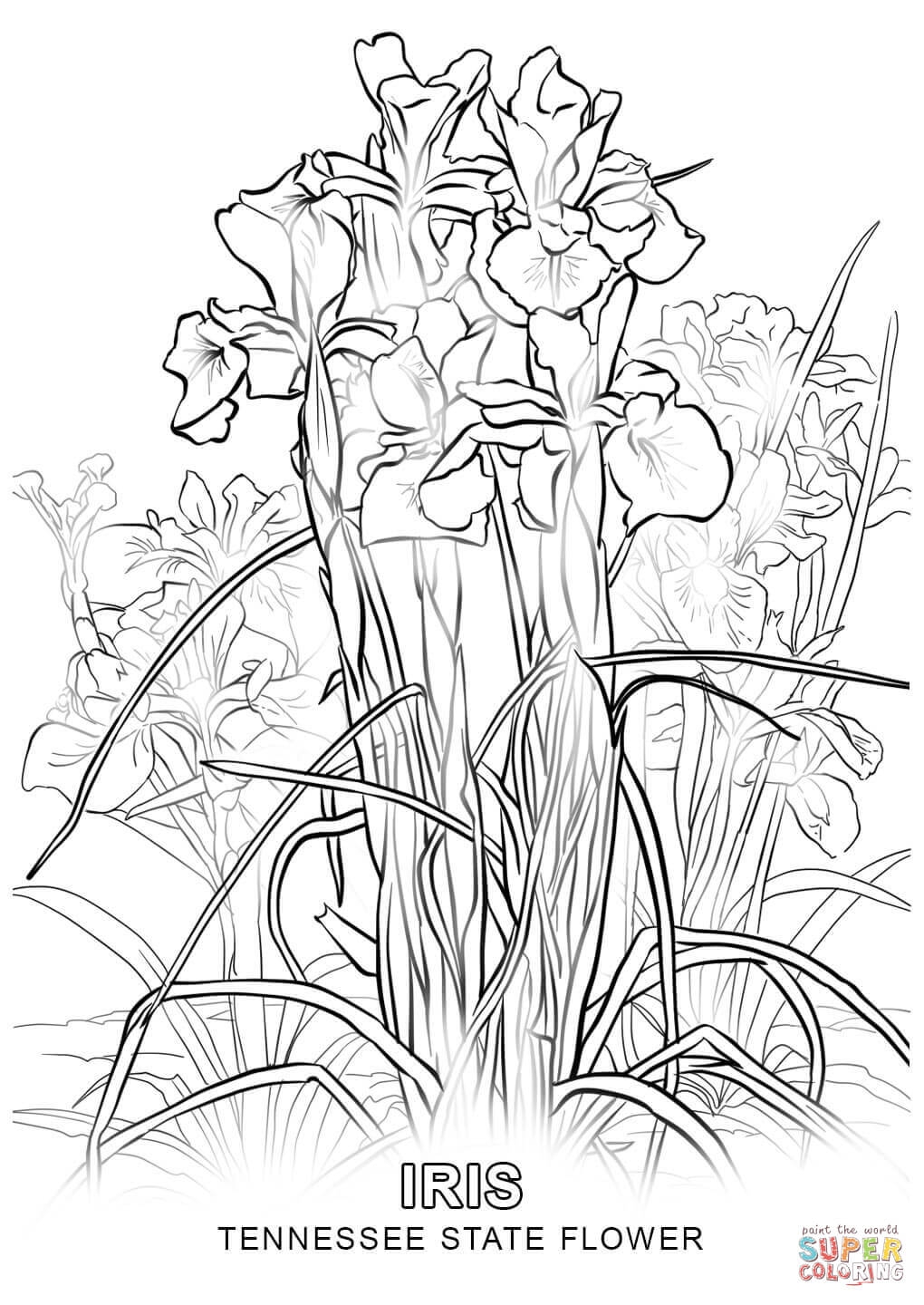 1020x1440 Fresh State Flower Coloring Pages Collection Printable Coloring