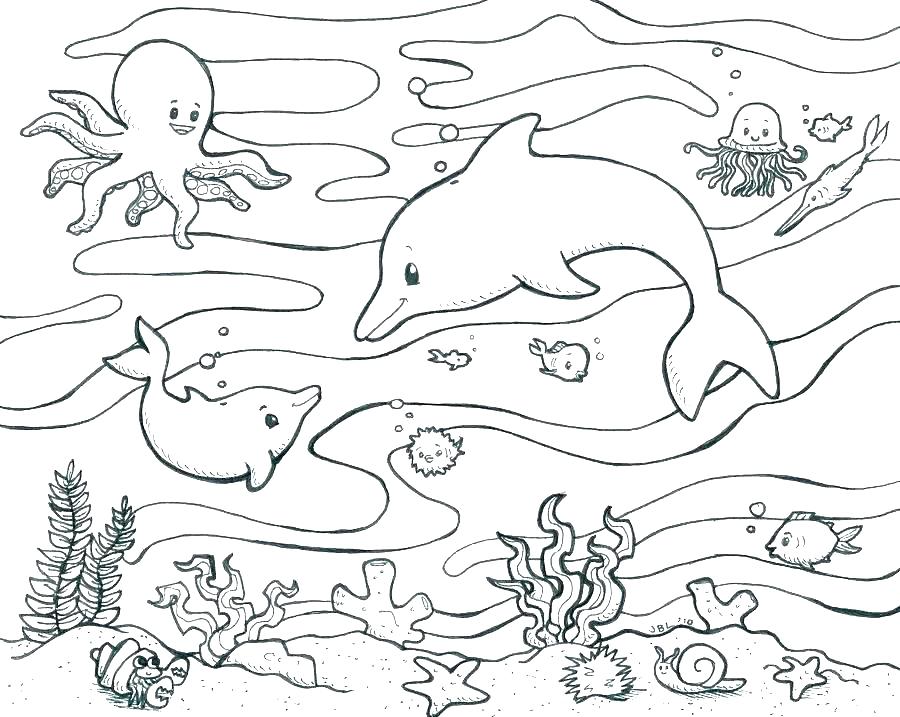 900x717 Marine Coloring Page Biology Coloring Pages Marine Biology
