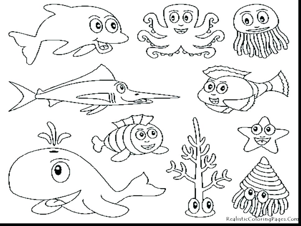 970x727 Marine Coloring Pages
