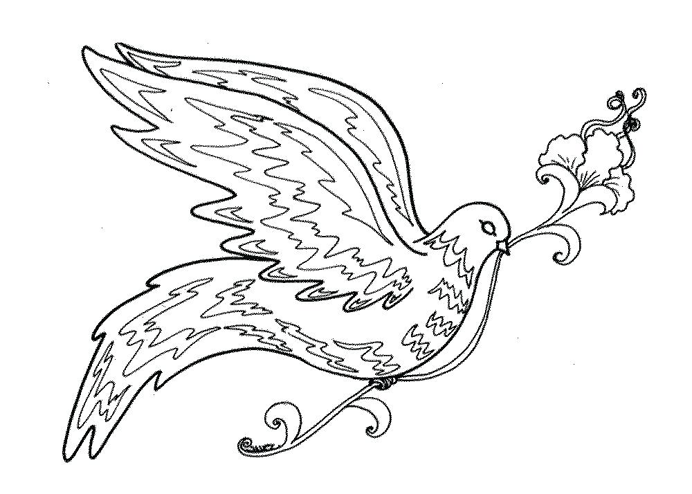 1000x714 Coloring Pages For Boys Page Bird Sparrow Winter Animal Free