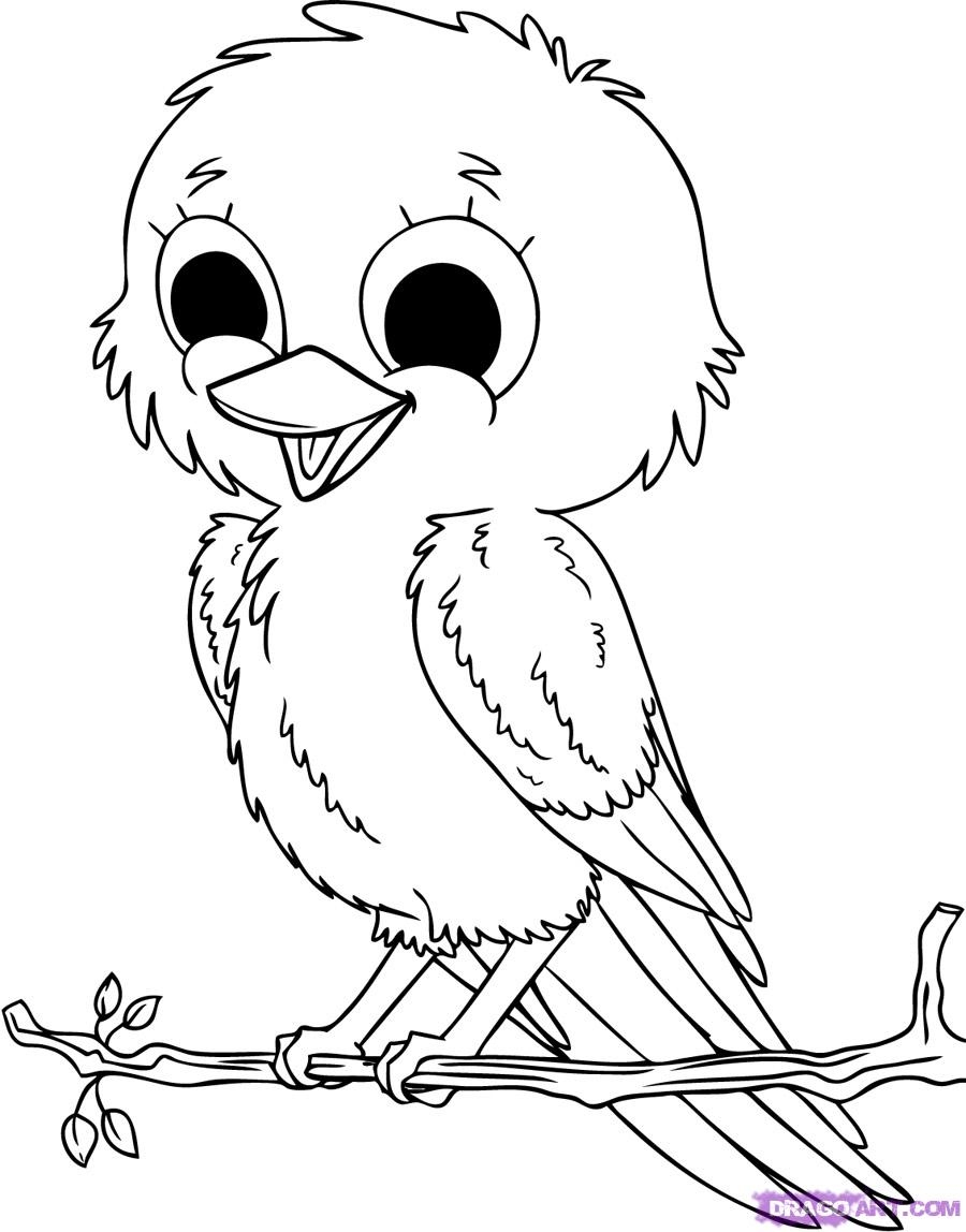 900x1148 Coloring Pages Of Birds Inspirational Sparrow Coloring Page Logo