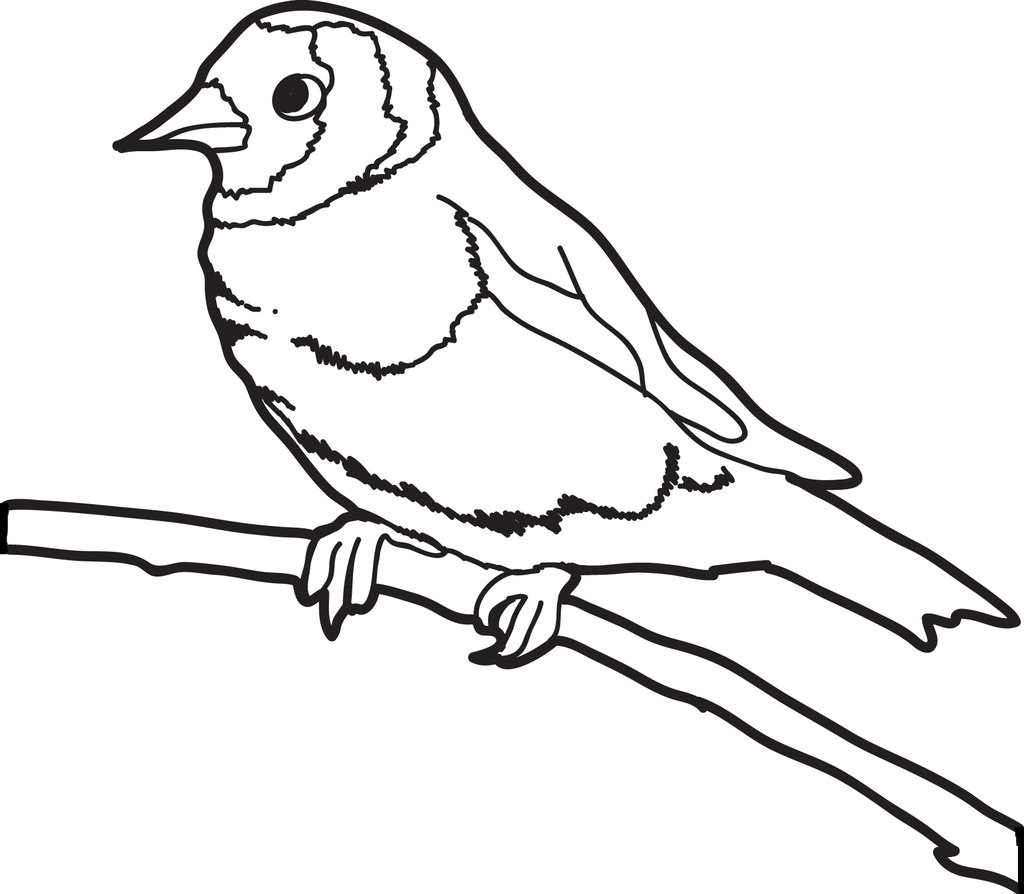 1024x894 Free, Printable Sparrow Coloring Page For Kids