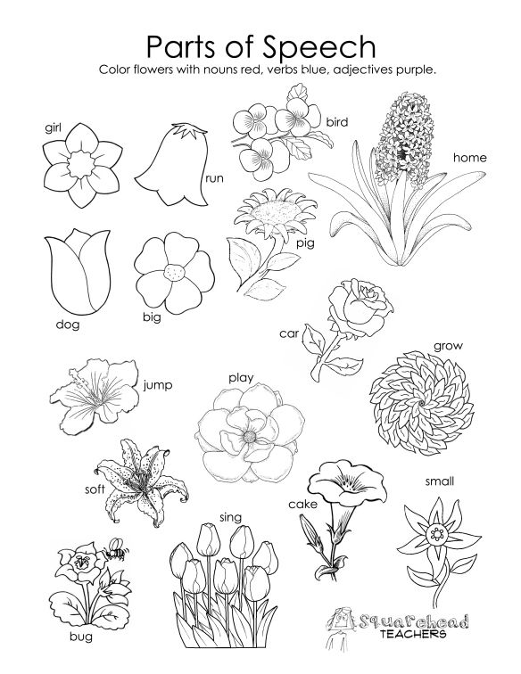 584x756 Parts Of Speech Coloring Page Spring For Kids