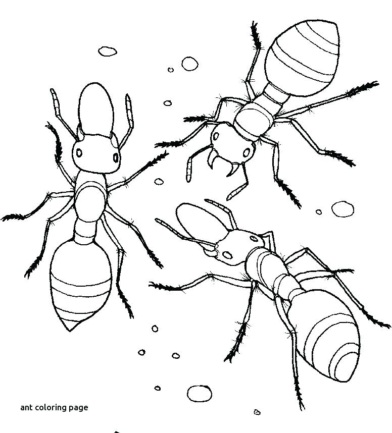Spelling Coloring Pages