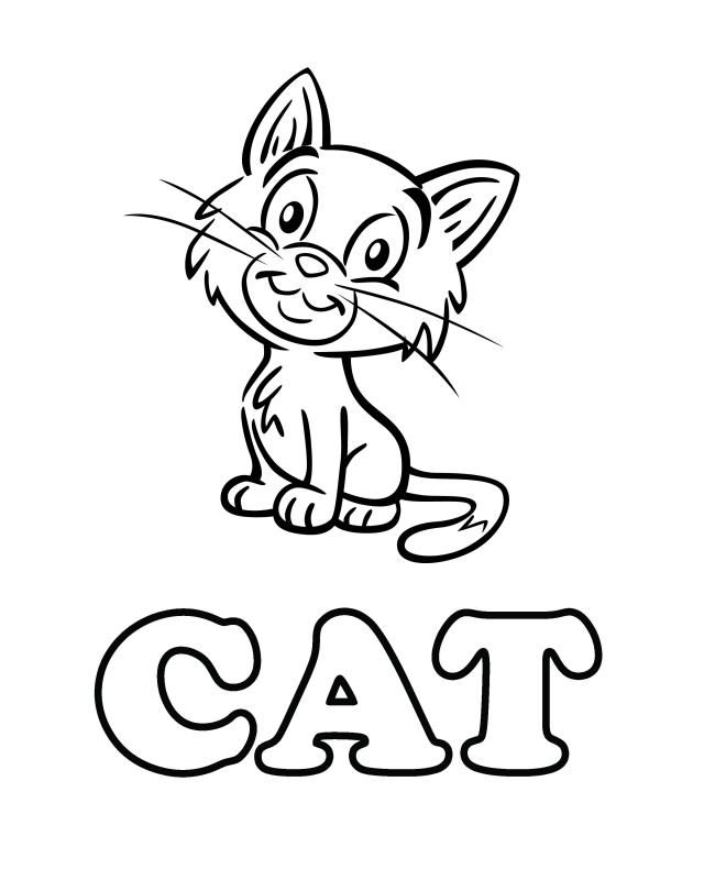640x800 Cat