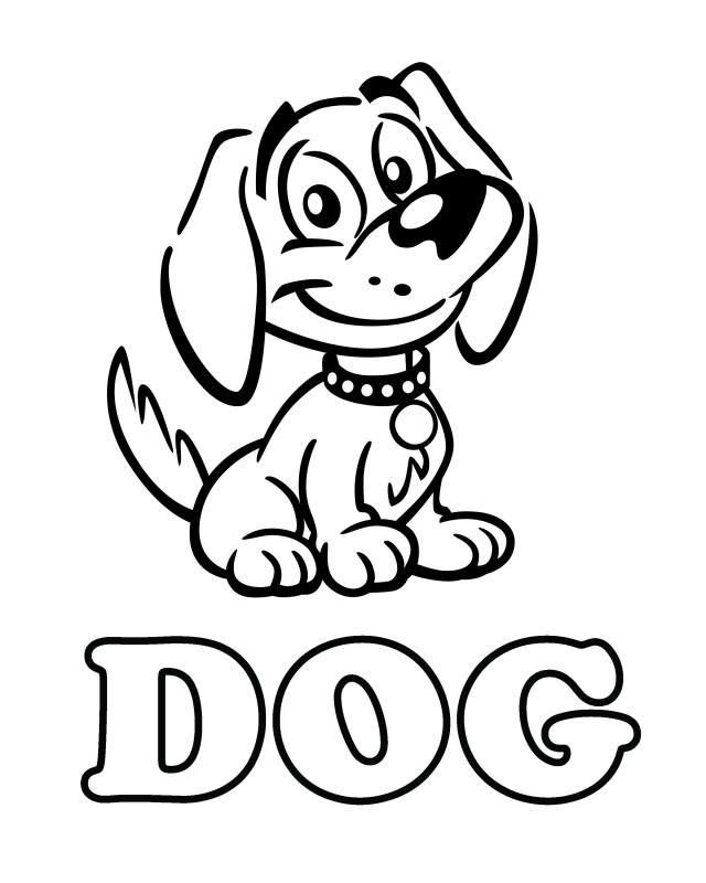 640x800 Dog