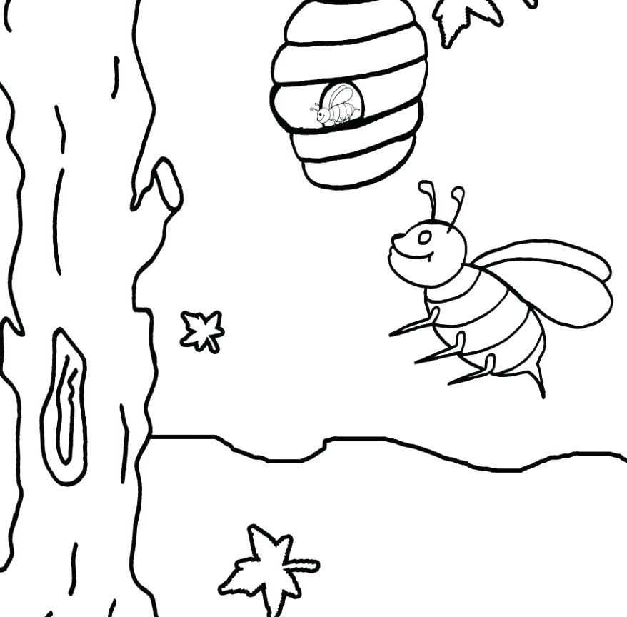 878x864 Bees Coloring Pages Bumble Bee Coloring Pages Bee Coloring Sheet