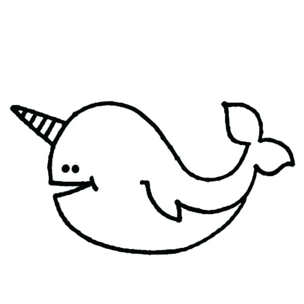 600x600 Whale Coloring Page Sperm Whale Coloring Page Narwhal Is Toothed