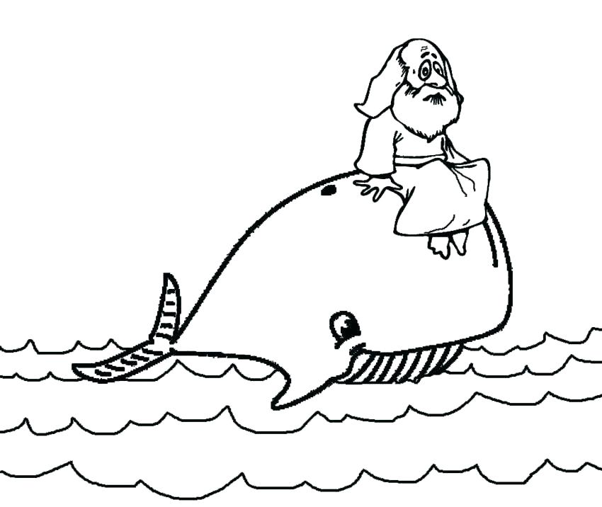 850x716 Blue Whale Coloring Page Sperm Whale Coloring Pages Big Blue Whale