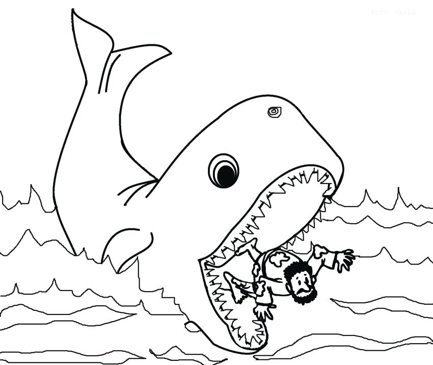 850x716 Whale Coloring Pages The Whale Coloring Pages Printable