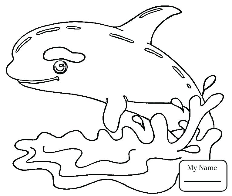 765x645 Sperm Whale Coloring Page