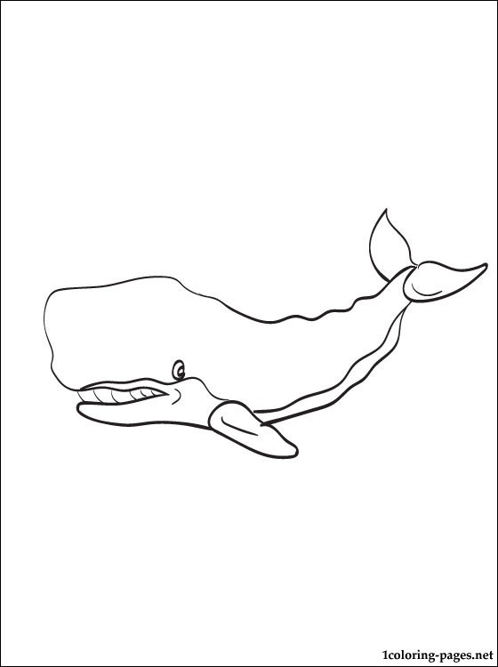 560x750 Cachalot Or Sperm Whale Coloring Page Coloring Pages