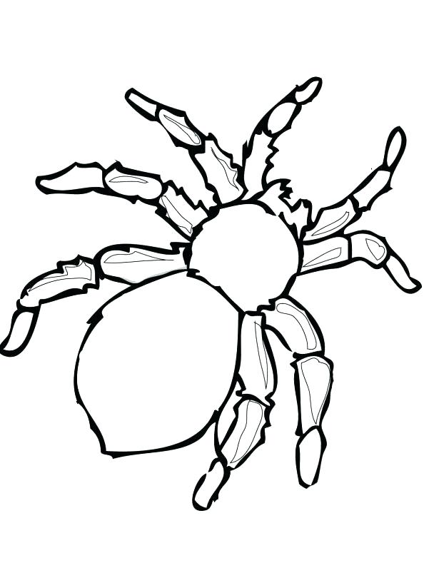 615x796 Spiderman Coloring Page Spider Color Page Medium Size Of Coloring