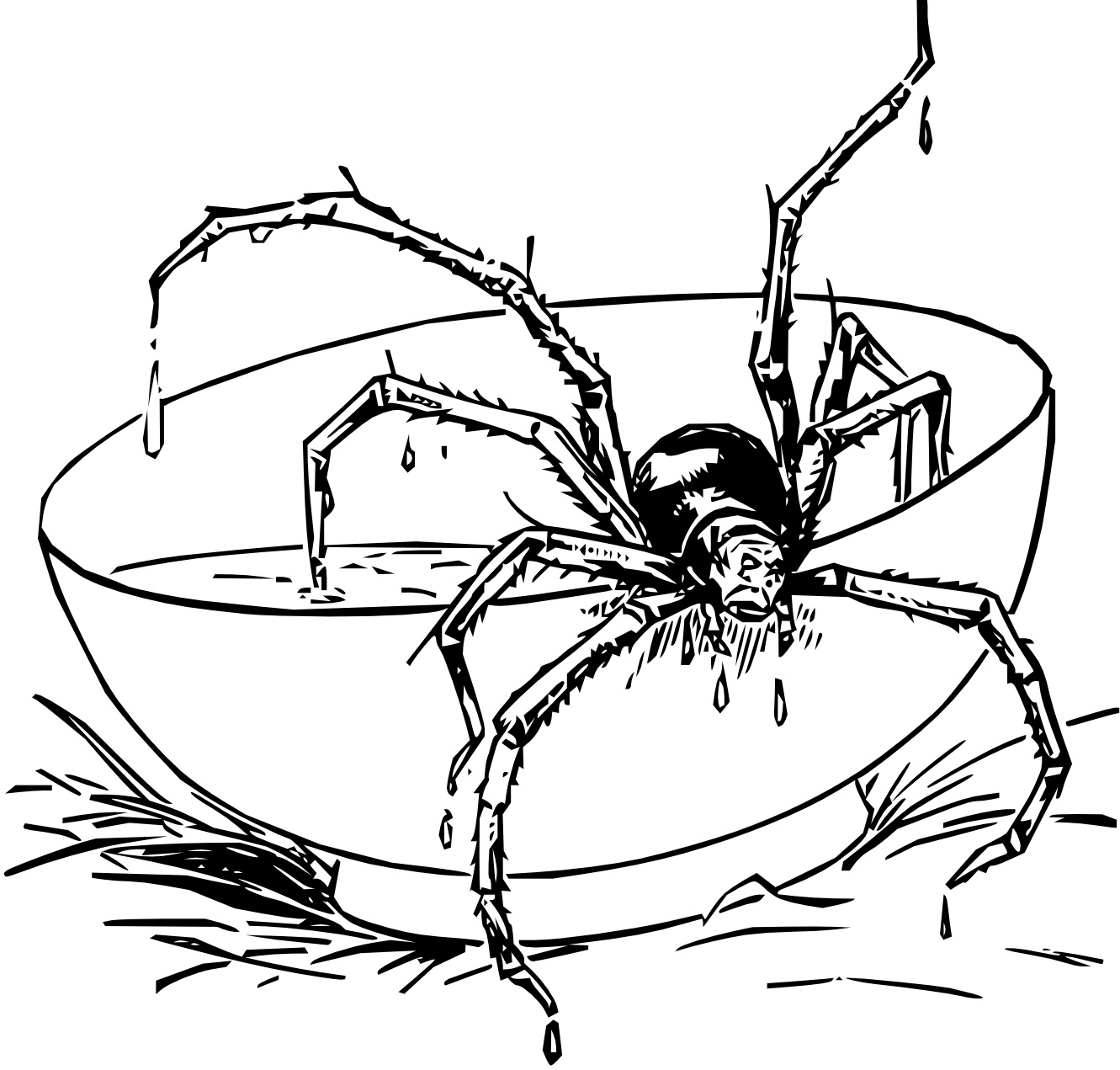 1331x1271 Free Printable Spider Coloring Pages For Kids Spider Coloring