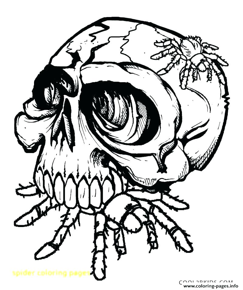 800x953 Spider Monkey Coloring Pages Spiders Coloring Pages Lovely B
