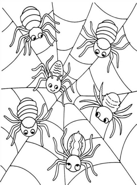 481x650 Spider Coloring Pages 7 Nice Coloring Pages For Kids