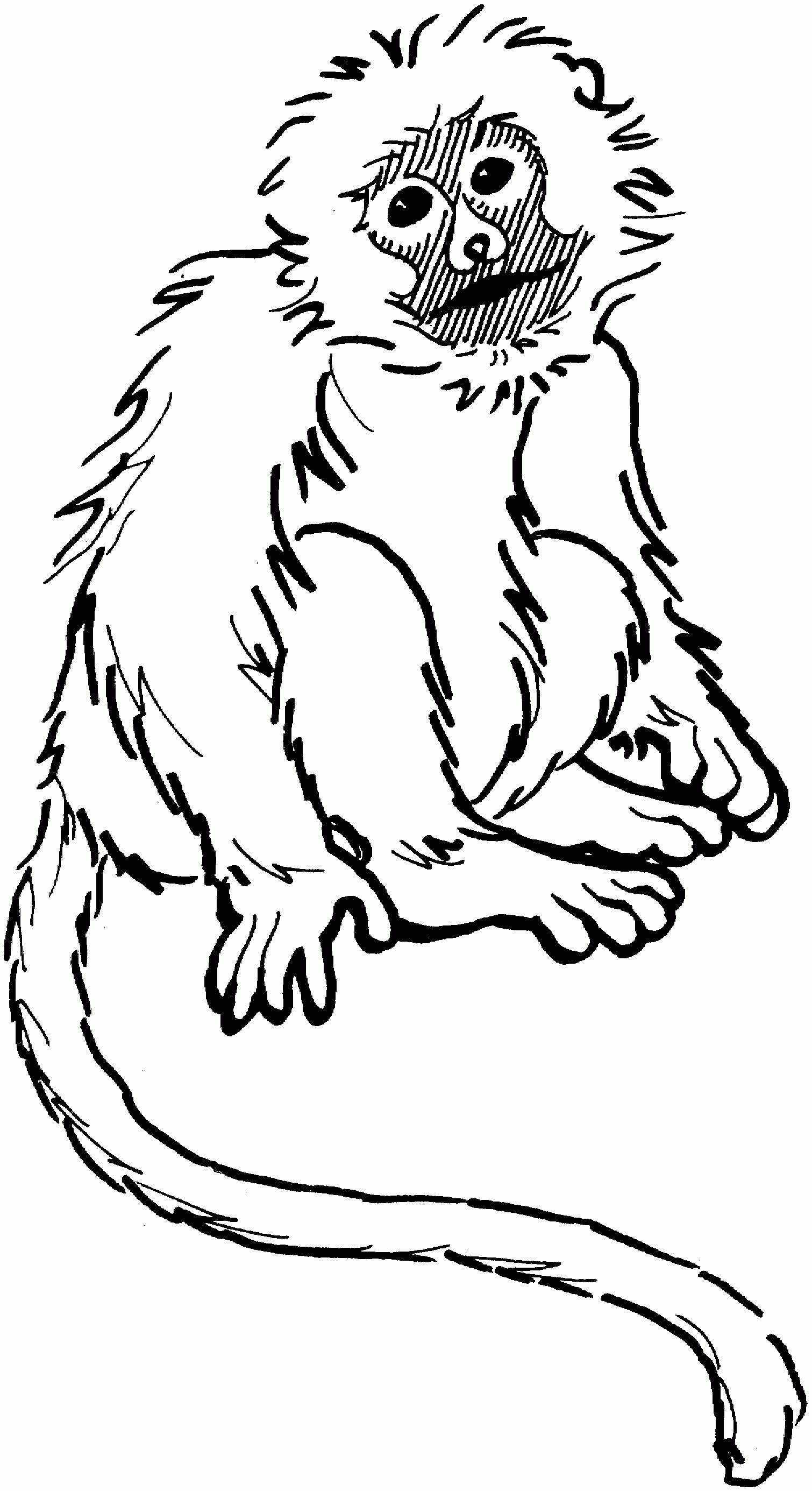 Spider Monkey Coloring Page