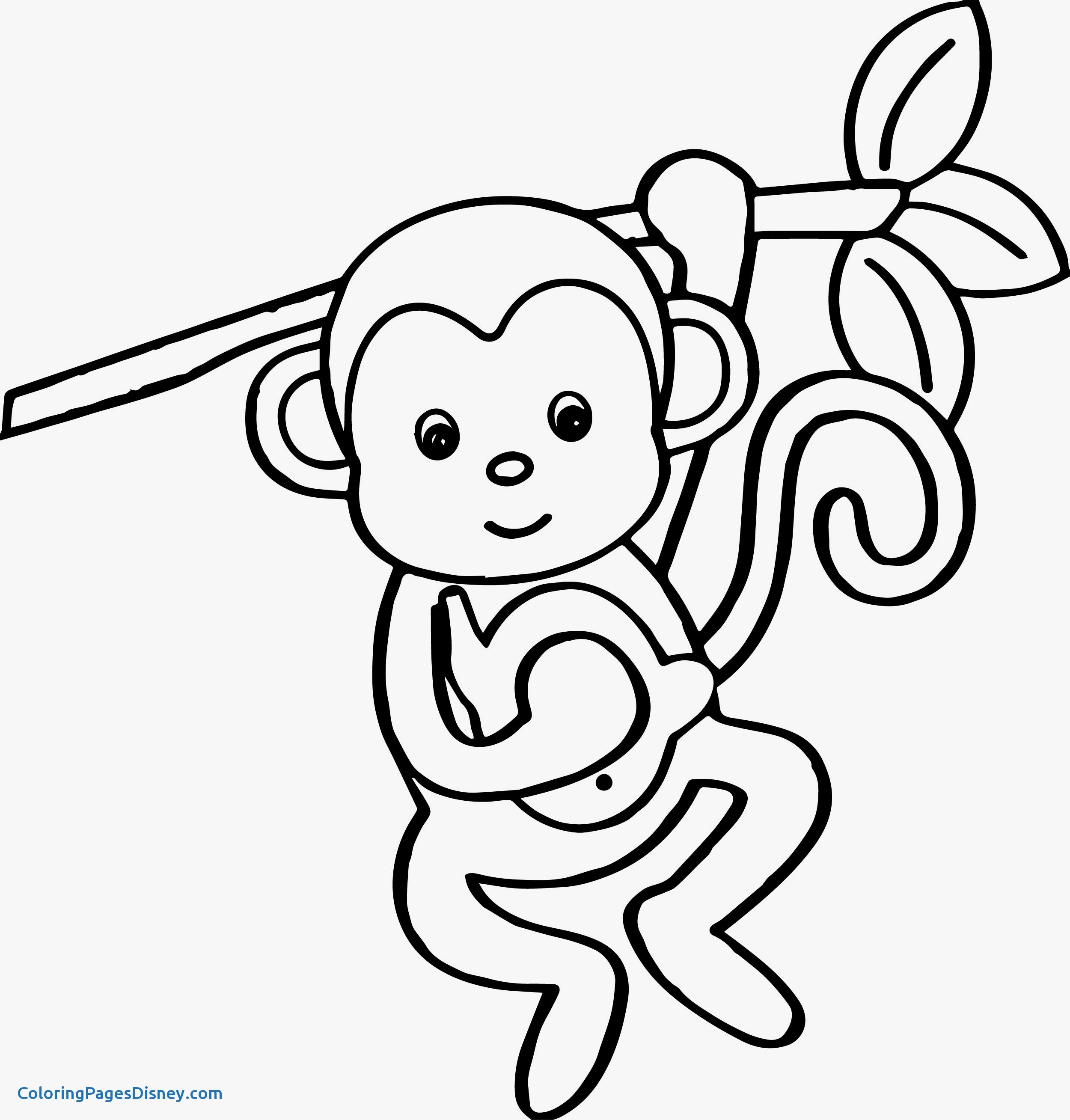 2500x2617 Monkeys Coloring Pages New Excellent Ben Spider Monkey Colouring