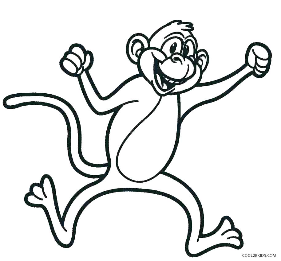 914x850 Spider Monkey Coloring Pages Monkey Coloring Book Plus Spider