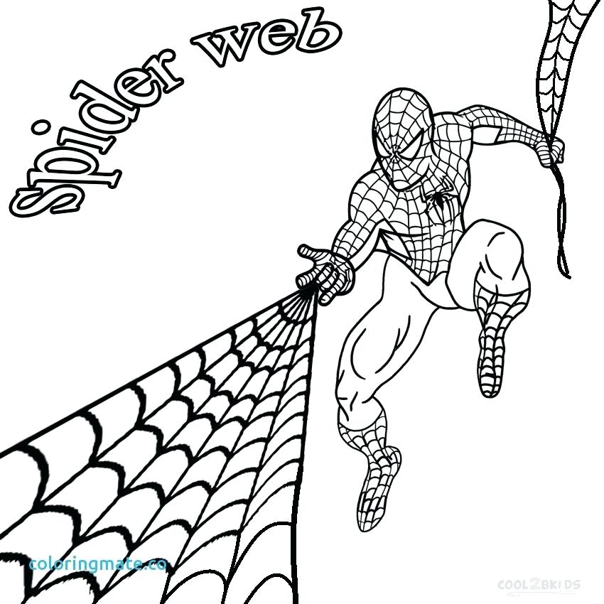 850x850 Spider Coloring Page Spider Web Coloring Page Unique Free Animated