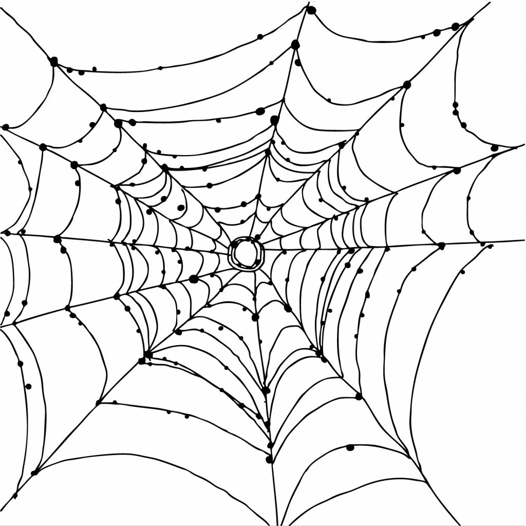 1024x1024 Best Spider Web Coloring Page 11