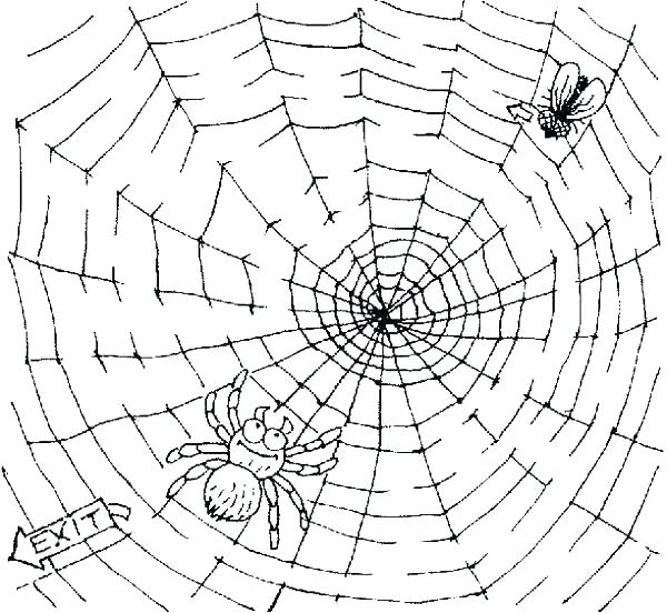 600x552 Spider Web Coloring Pages Web Coloring Pages Spider Web Coloring
