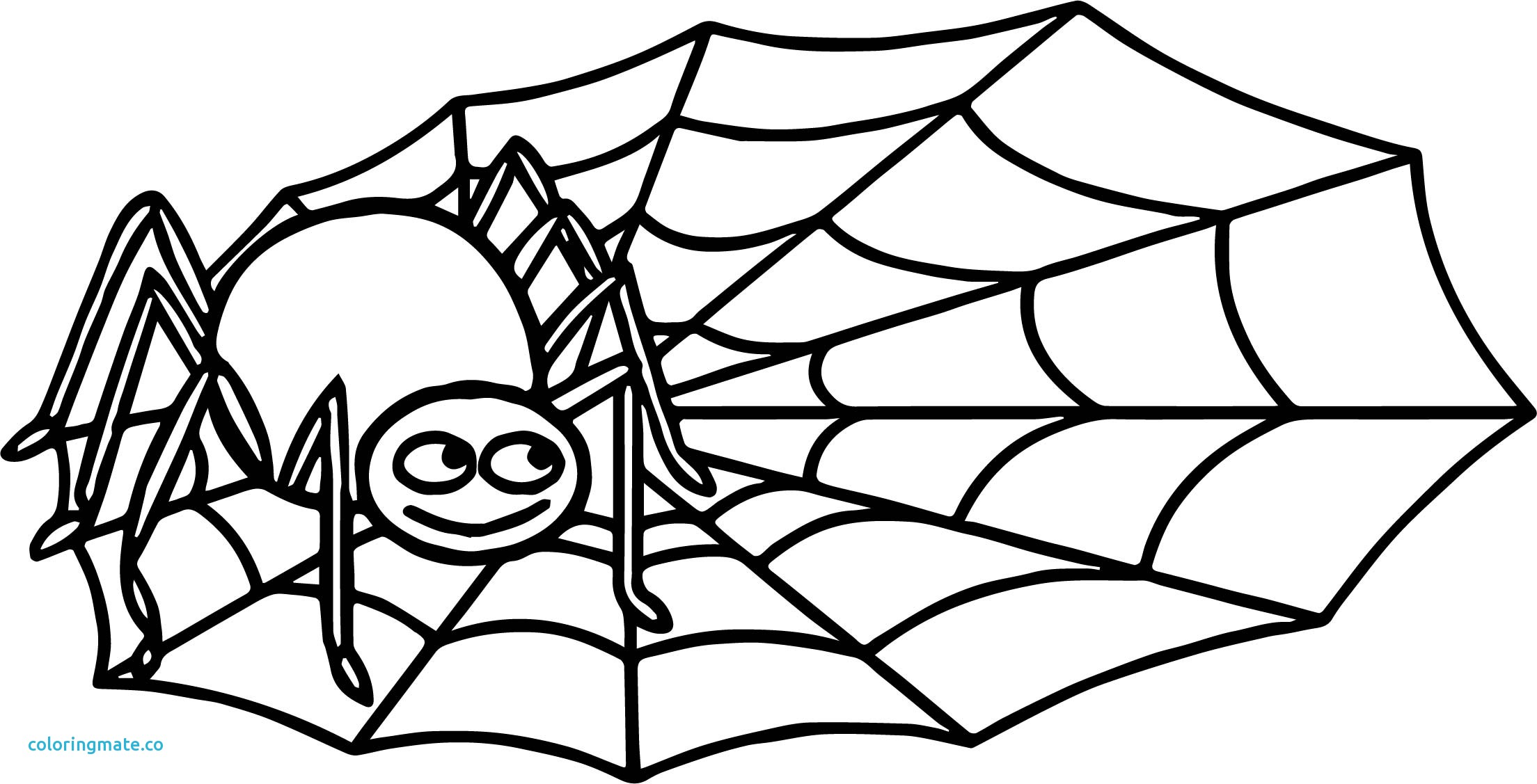 2208x1127 Delighted Spider Web Coloring Page Pages Print