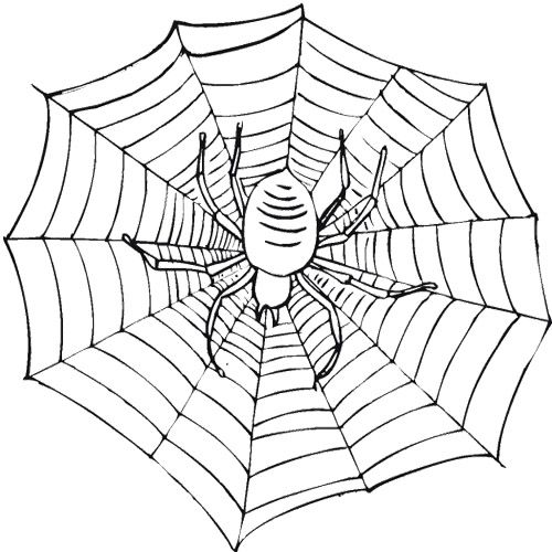500x500 Fanciful Spider Web Coloring Pages To Print For Kids