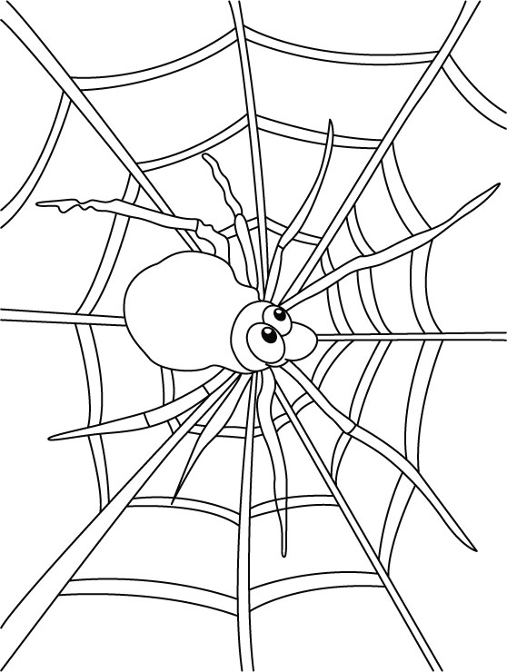 558x740 Pleasant Design Spider Web Coloring Pages To Print For Kids