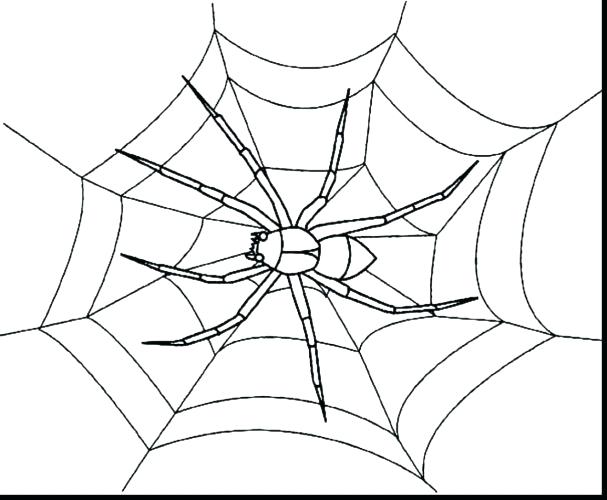 607x500 Coloring Page Spider Web Coloring Page Spider Web Coloring Pages