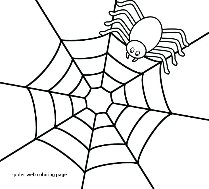 736x665 Spider Web Coloring Page Of Spider Web To Print Template