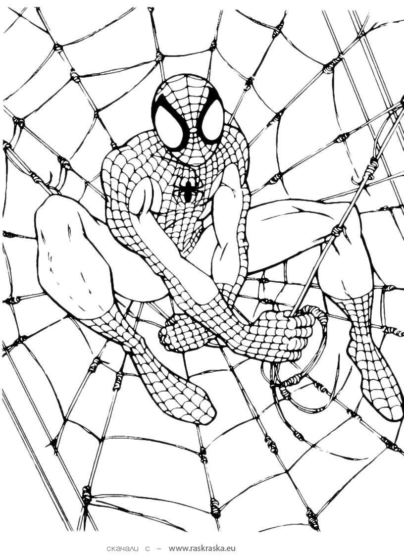 816x1123 Coloring Page Spiderman.jpg Dessin A Colorier 12