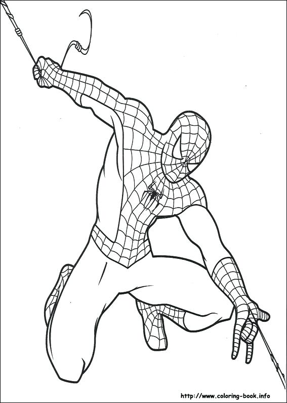 567x794 New Spiderman Coloring Pages For Kids Or Startling Coloring Sheet