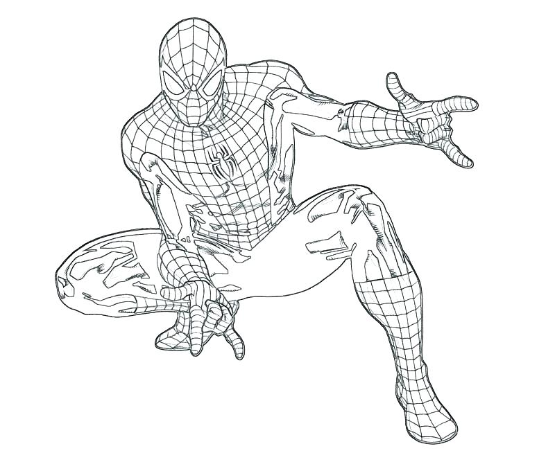800x667 Lego Spiderman Coloring Pages Coloring Pages In Addition