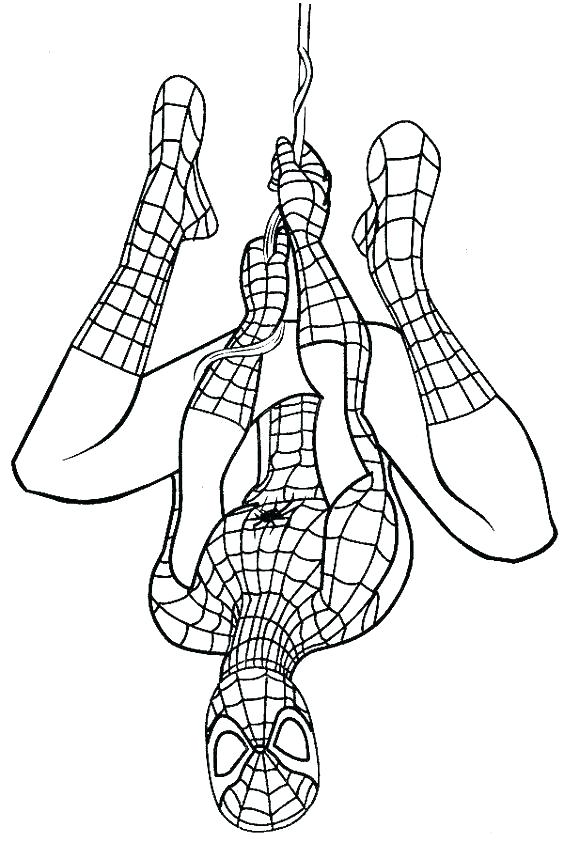 564x843 Spider Man Coloring Spider Man Coloring Spider Man Coloring Page 3
