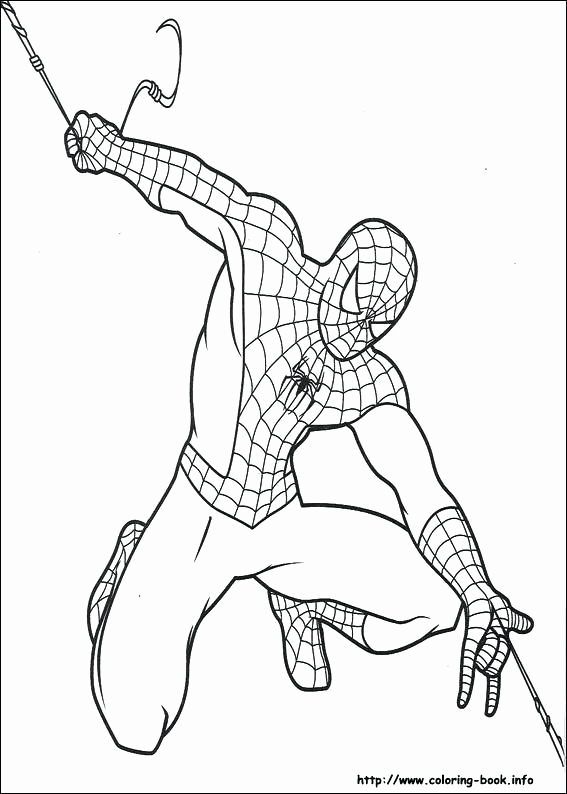 567x794 Spiderman Color Pages Best Coloring Pages Spiderman Coloring