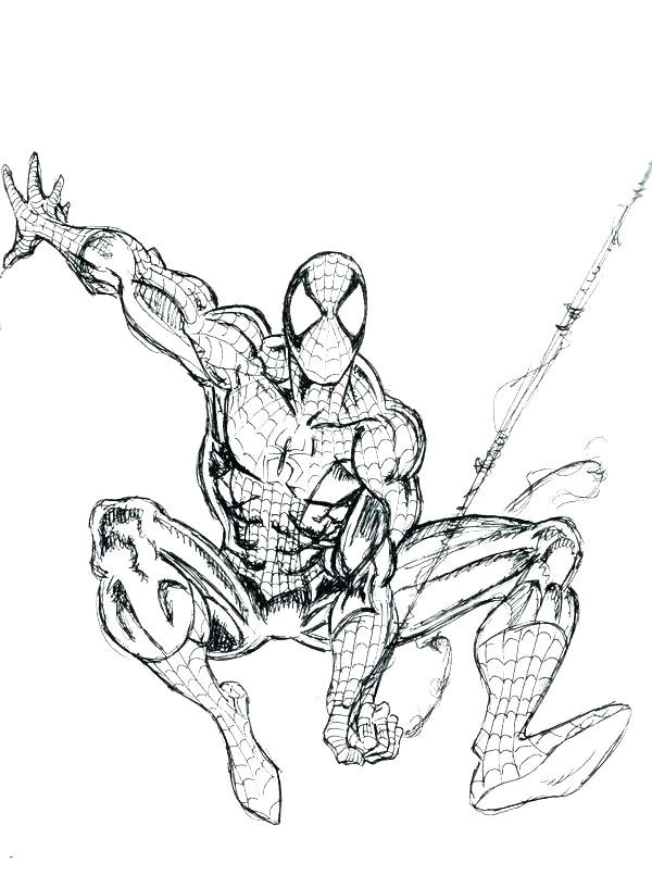 600x817 Spiderman Coloring Pages Pdf