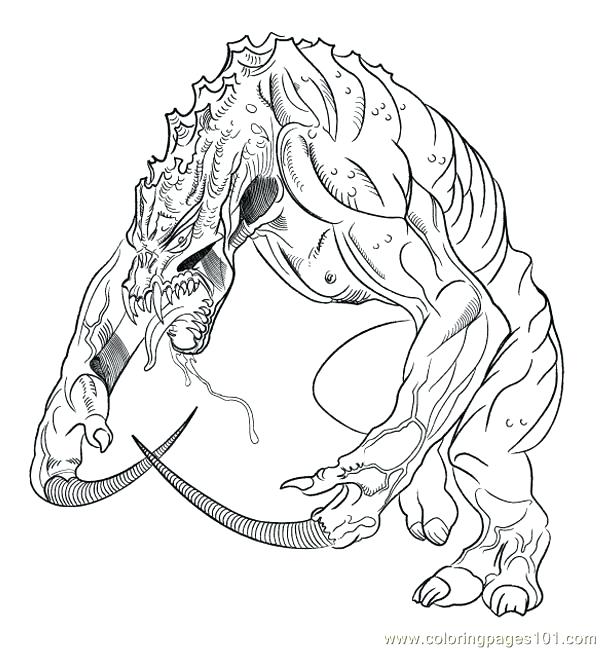 600x649 Spiderman Vs Lizard Coloring Pages