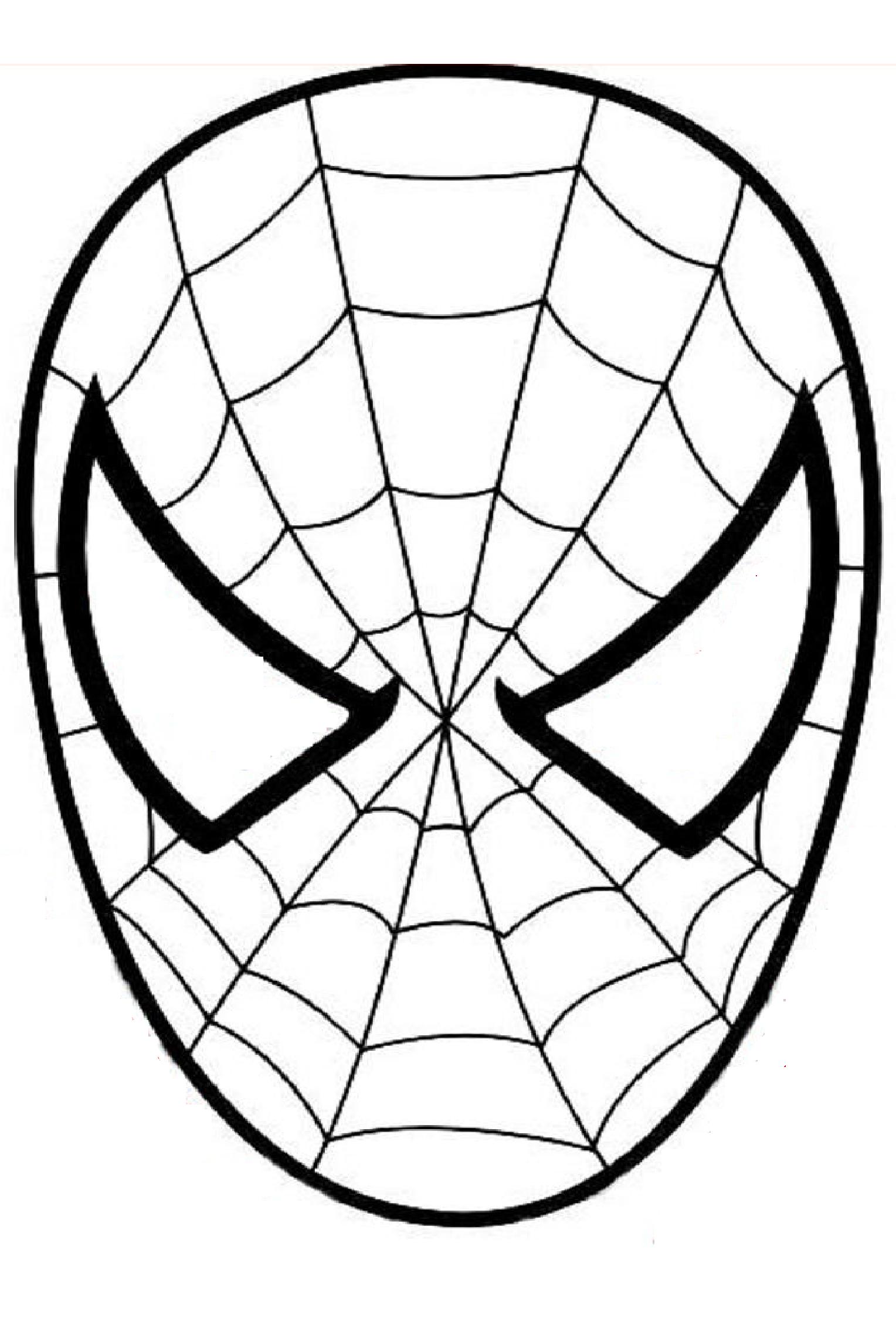 1528x2260 Mask