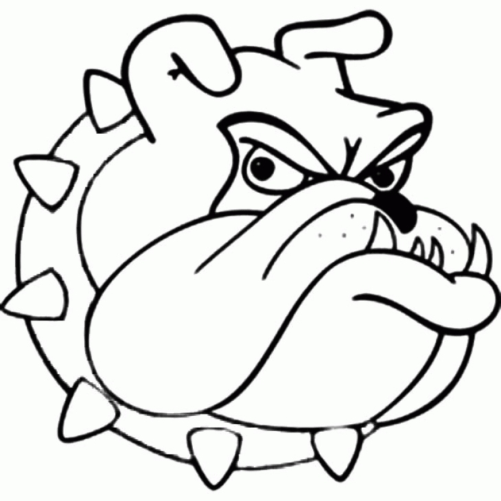 730x730 Bulldog Coloring Pages Awesome Tom And Jerry Spike Coloring Pages