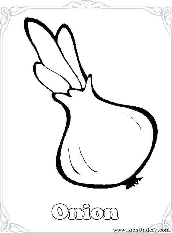 556x749 Fruit And Vegetable Coloring Pages Free Coloring Colouring Pages