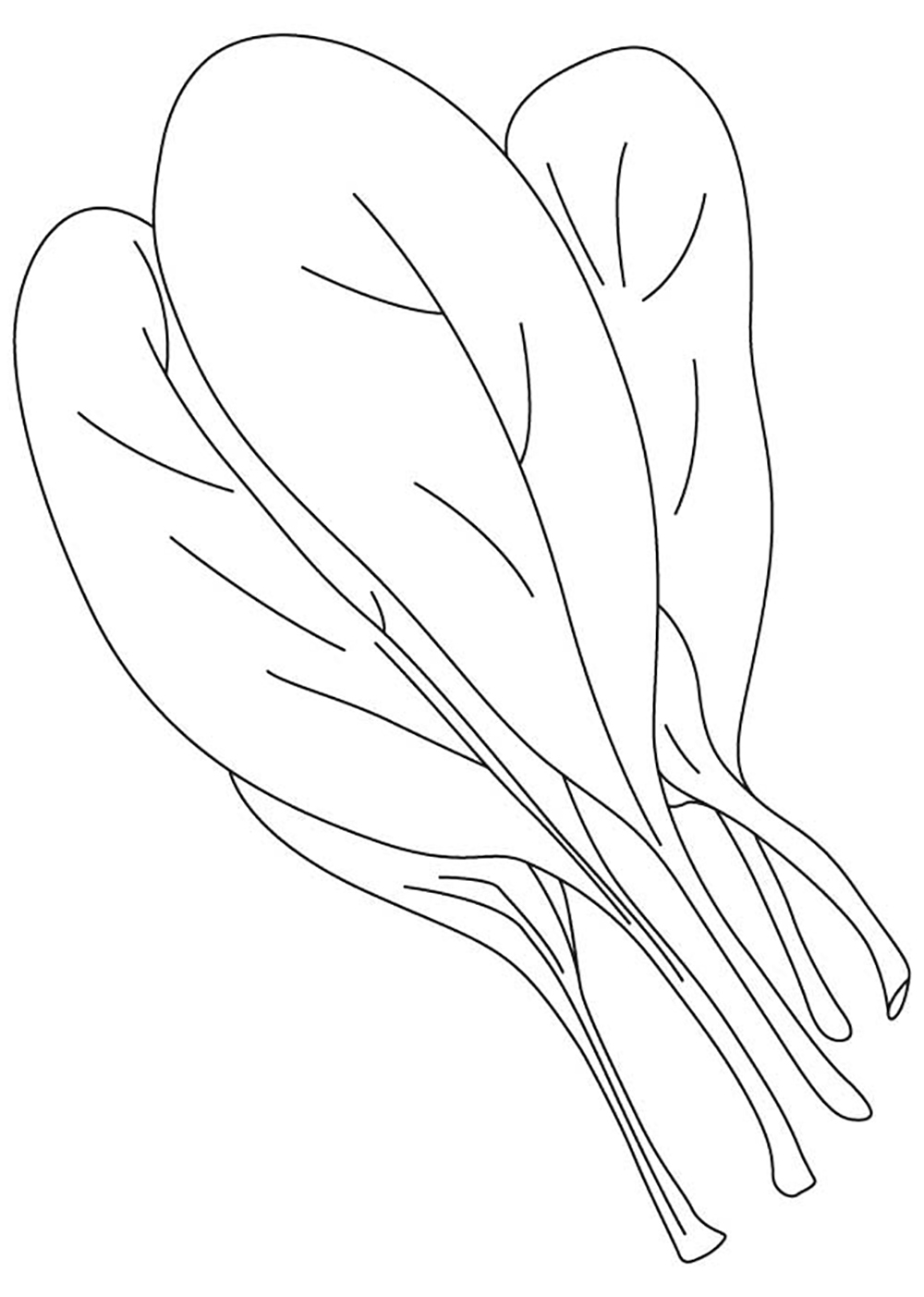 1000x1403 Best Of Spinach Coloring Pages Collection Printable Coloring Sheet