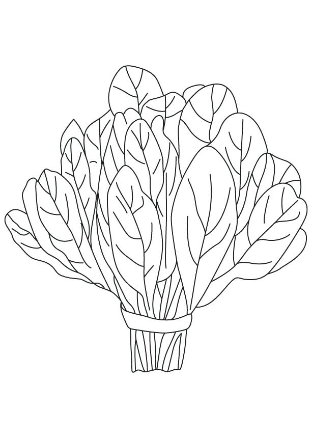 613x860 Vegetables Coloring Pages Spinach Vegetable Coloring Page Root