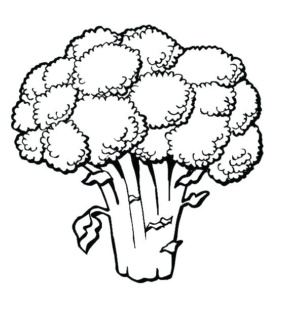 568x650 Coloring Pages Vegetables Spinach Vegetables Coloring Pages