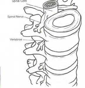289x300 Chiropractor Colouring Pages